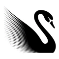 Black Swan