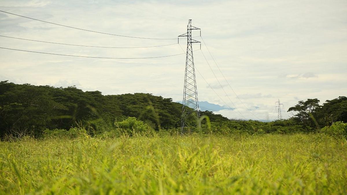 Water And Electricity Outages Wreak Havoc On Operations: Chamber