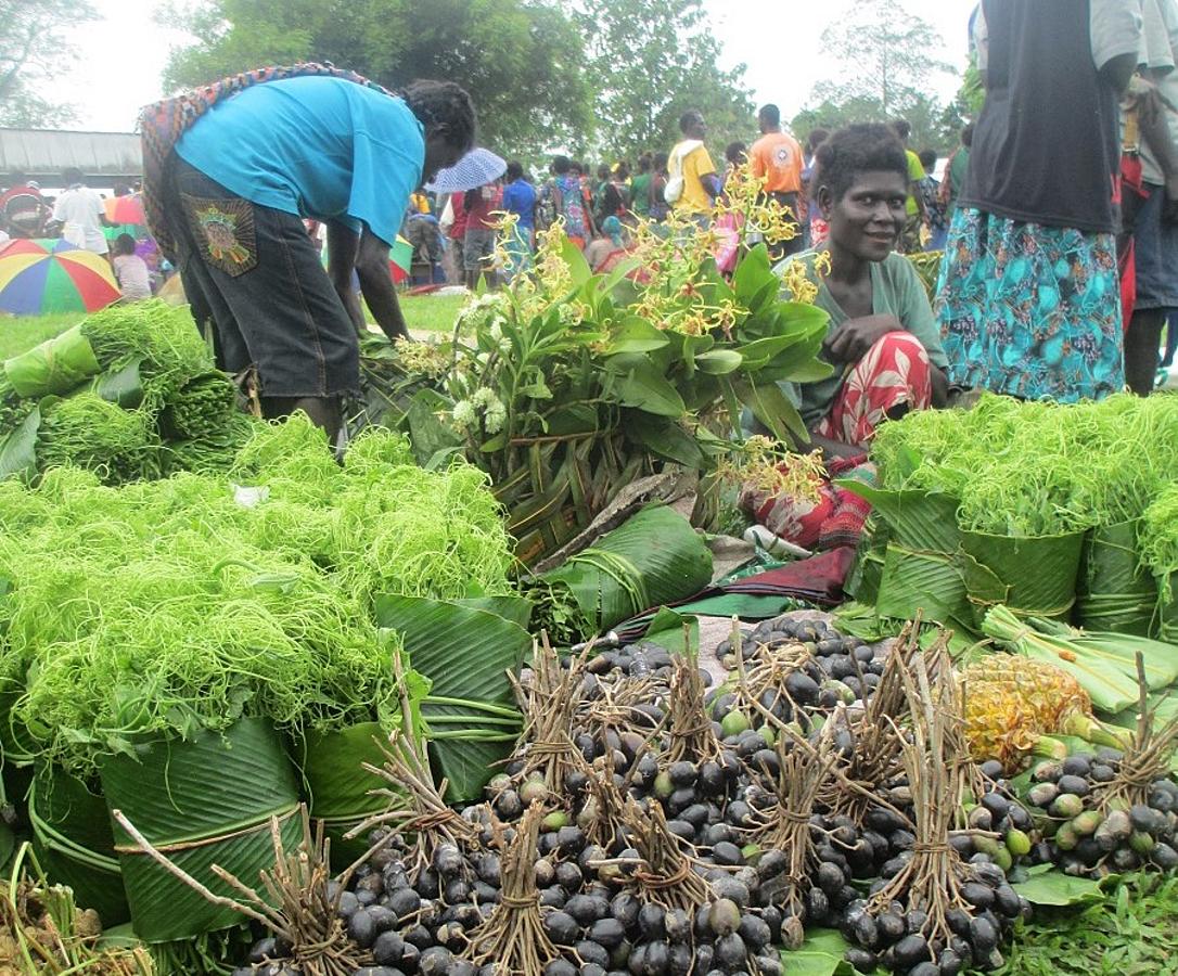 Bougainville strengthens food systems in response to COVID-19