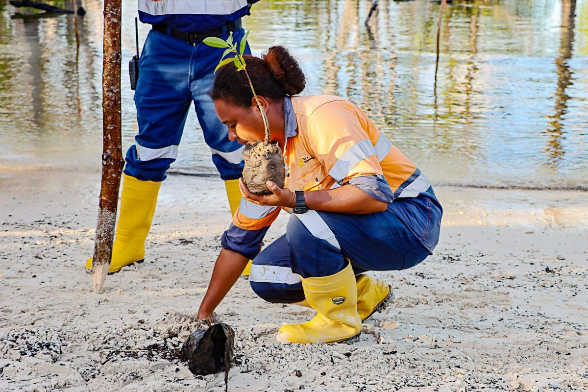 Simberi mining plants mangroves for ‘Only One Earth’