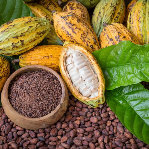 Country’s Leading Cocoa Producing District to limit foreign middlemen in the buying process