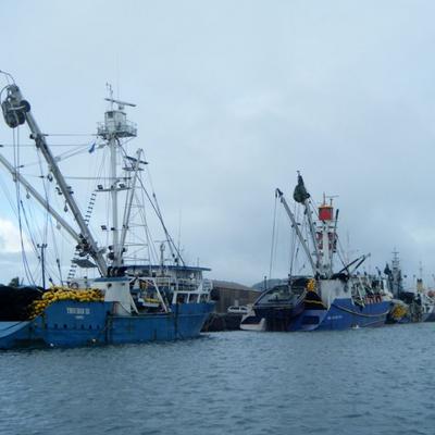 International Trade Minister Pushes for Increased Fish Processing in PNG