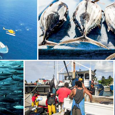 FIA PNG Excels in Global Standards