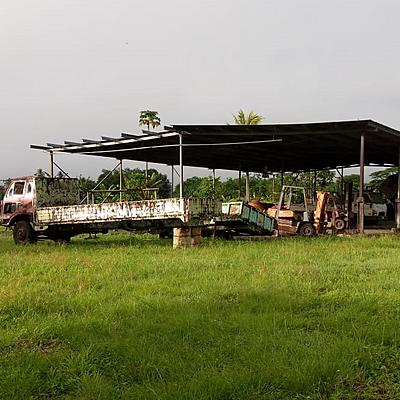 Rubber at a Crossroads: Cape Rodney’s Silent Struggle with its Plantations
