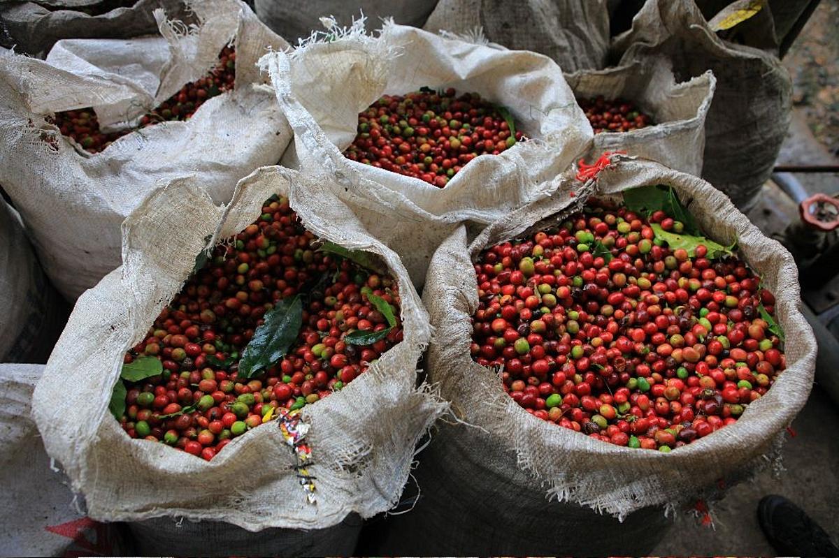 Coffee Needs to be Marketed Better to International Consumers