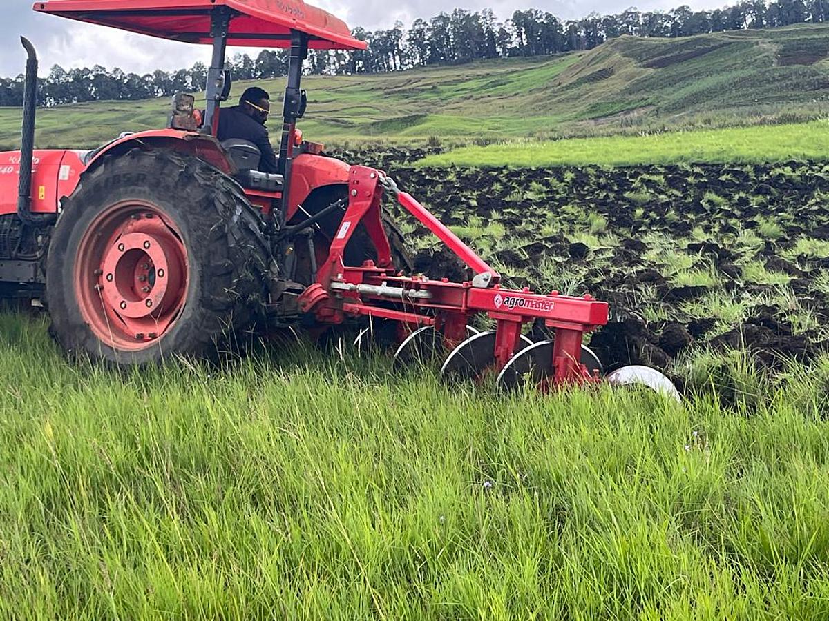 PNG Agricultural Output in Decline as Farmers’ Body Calls for Shift from Policy Talk to Production Action