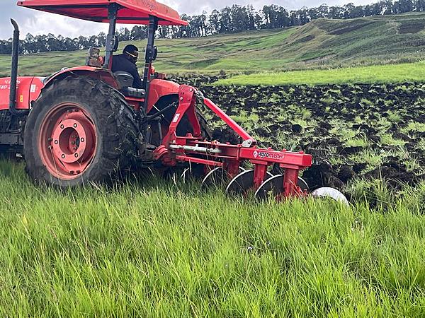 PNG Agricultural Output in Decline as Farmers’ Body Calls for Shift from Policy Talk to Production Action