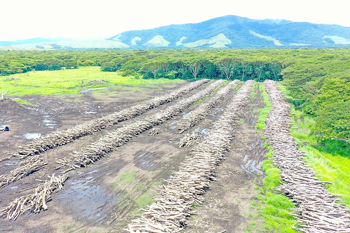 Power Plant Site Cleared in Markham Valley